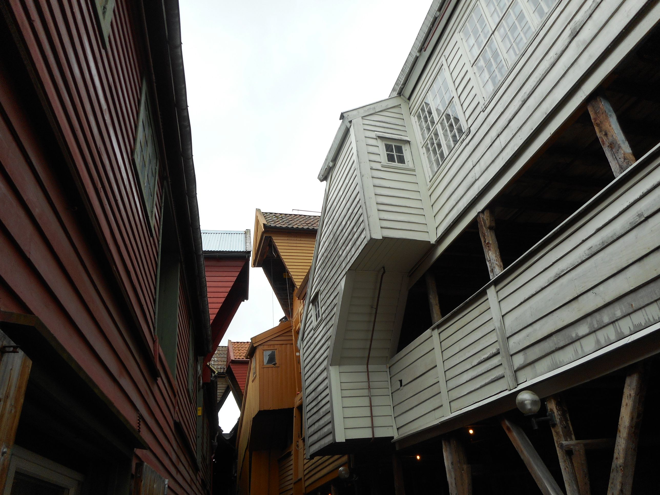 N08_DSCN1186_1